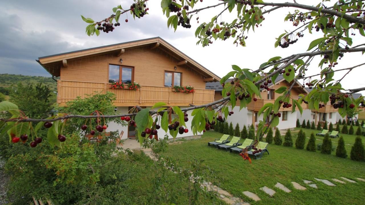 Виллы Green Resort Bran Бран