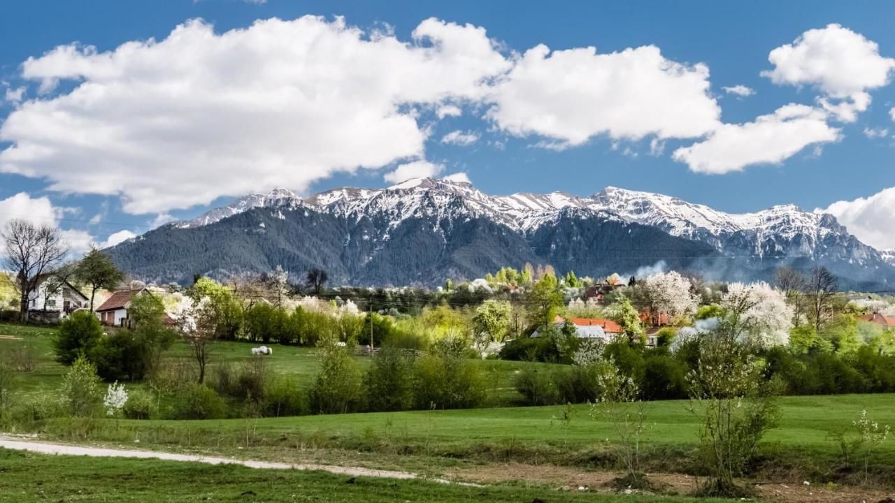 Виллы Green Resort Bran Бран-41